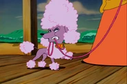 Mousey groomed