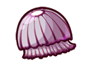 Striped Jellyfish