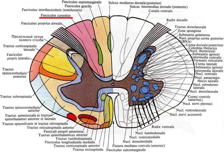 Алгебра, Класс, Домашнее задание