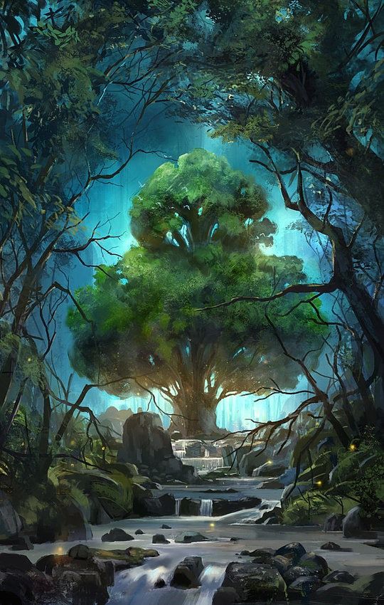 The Order Of Forest Queen Ancar Network Wiki Fandom The Order Of Forest Queen Ancar Network Wiki Fandom