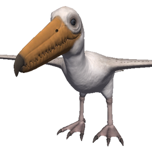 Miocene Pelican (Palegornis).png