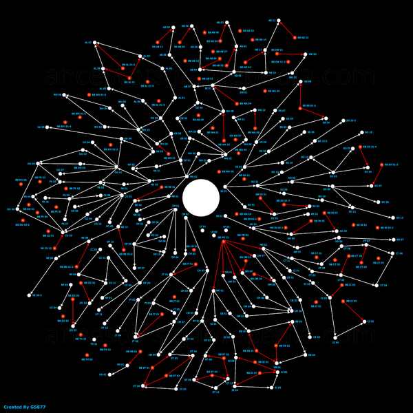 Genetic Mutations Map - Full