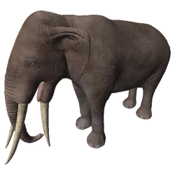 Miocene Elephant - Ancestors: The Humankind Odyssey Wiki