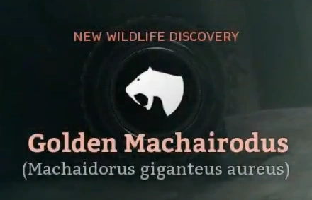Golden Machairodus