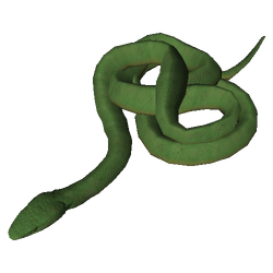 eastern green mamba ancestors the