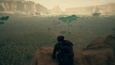 Savanna - Landscape 2