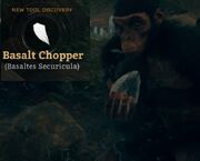 Basalt Chopper (Basaltes Securicula)