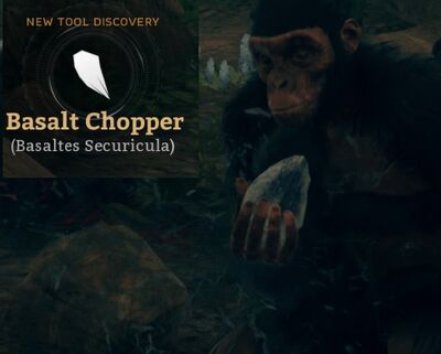 Basalt Chopper (Basaltes Securicula)