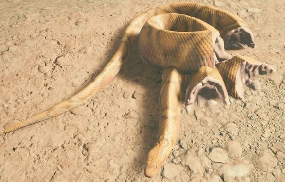 African Rock Python Carcass - Ancestors: The Humankind Odyssey Wiki