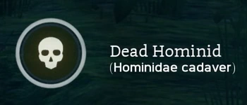 Dead Hominid