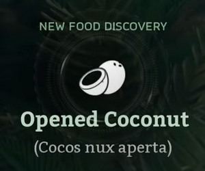 Opened Coconut.png