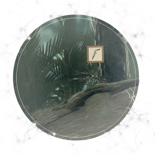 Intelligence - Spatial Perception - AN 04