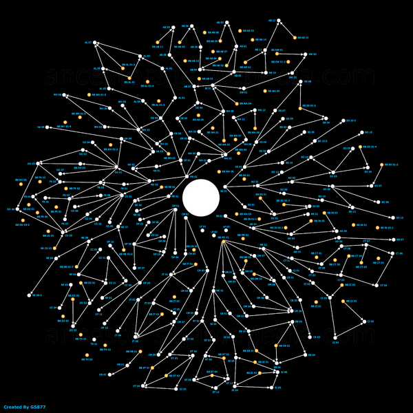 Neurons Map - Full