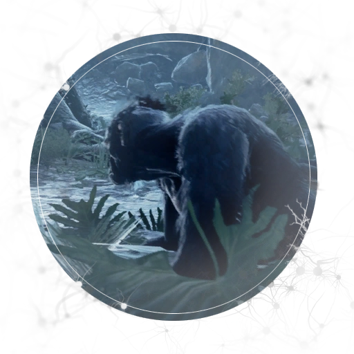 Settlement - Deep Sleep - NE 06