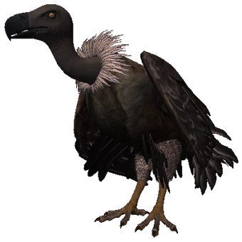 ビリヤードキューVULTURE 340?cb=20190910131906