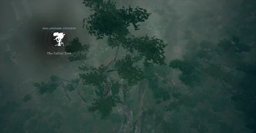 The Father Tree - Daytime