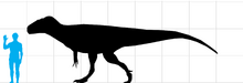 Megalosaurus2