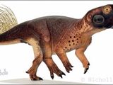 Psittacosaurus