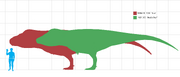 Rex
