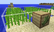 Reed farm ig.png
