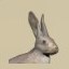 Hare