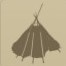 Pelt hut