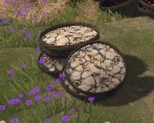 Clams on storage area