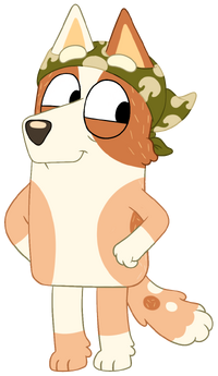 Brandy Fungo