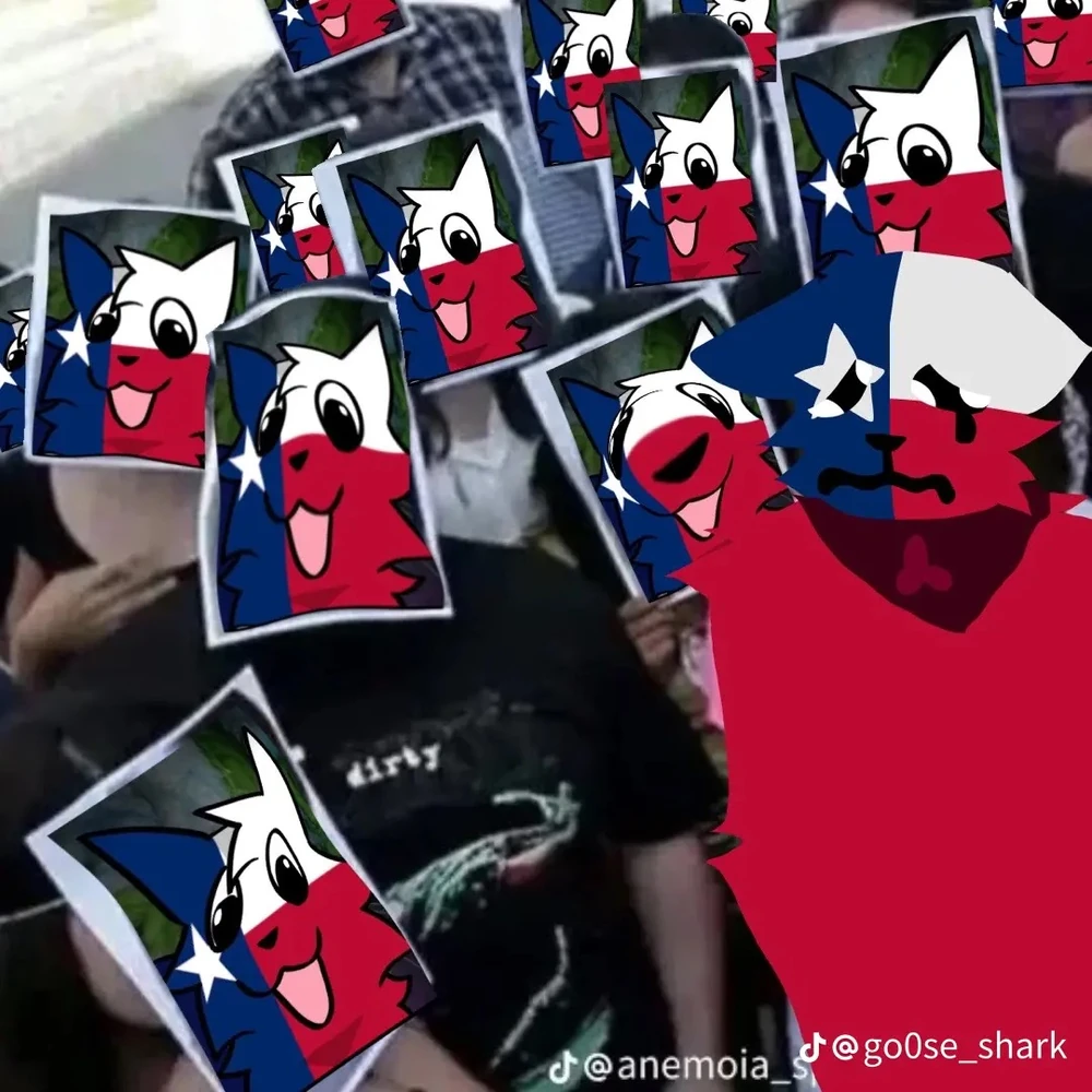 Texas Cat | Android Cat Wiki | Fandom