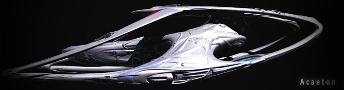 AcaetonBanner1.jpg