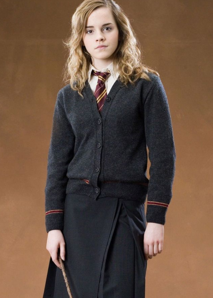 Hermione Granger (Hermione Granger series), Andy Spencer Heroes Wiki