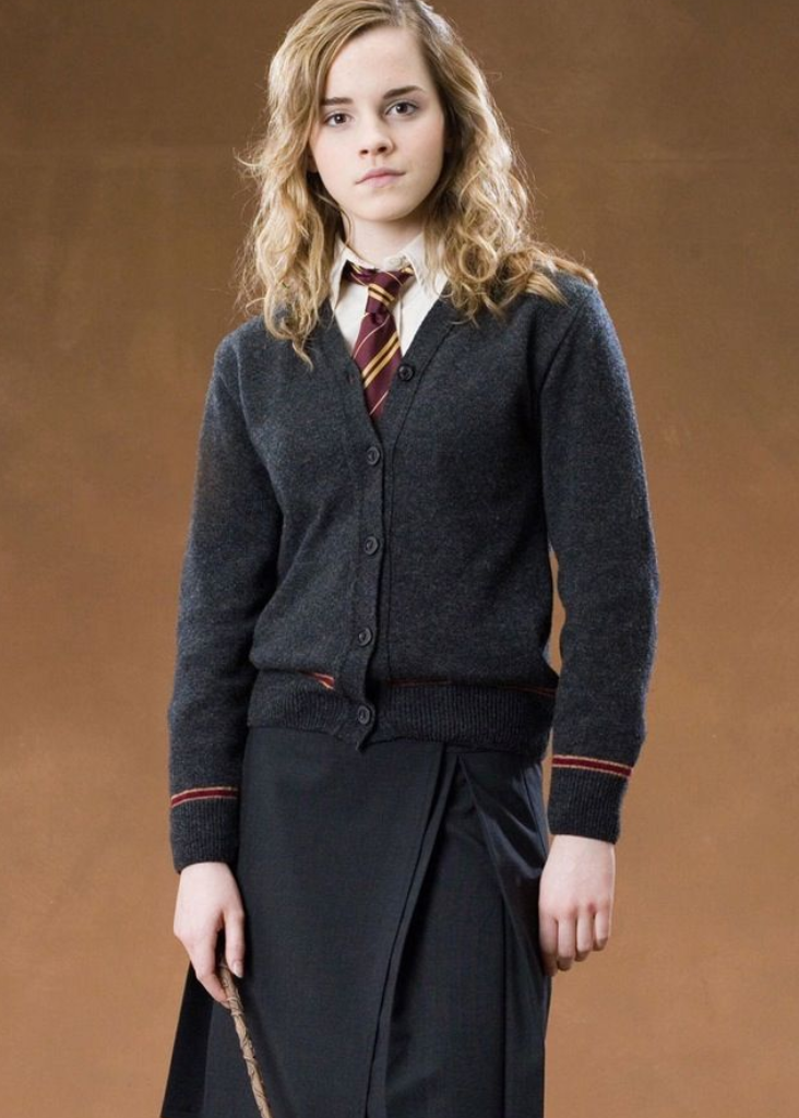 Hermione Granger (Hermione Granger series), Andy Spencer Heroes Wiki,  hermione granger