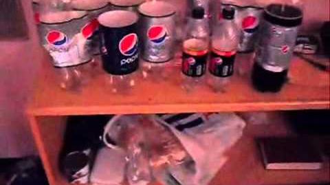 14 NOV 2010 My Pepsi Bottle Collection.-0