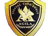 Task Force Agila