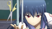 Shiina's concentration