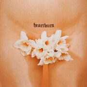 Heartburn cover.jpeg