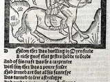Middle English tung