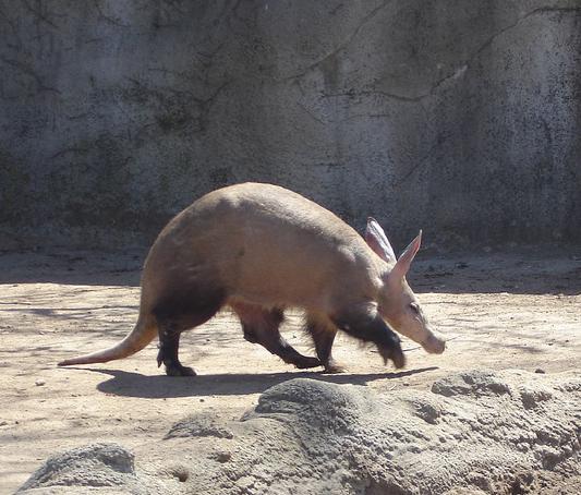 Waterhog, The Anglish Moot