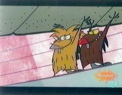 アングリー・ビーバーズ | Angry Beavers Fanon Wiki | Fandom