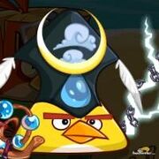 Chuck-3-Rainbird.jpg