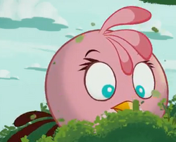 Angry Birds Stella/Gallery, Angry Birds Wiki, Fandom