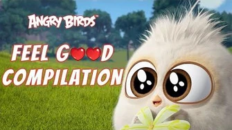 Angry_Birds_Feel_Good_Compilation_1