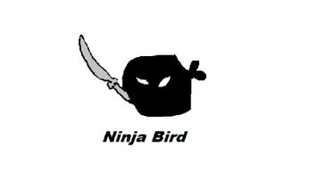Ninja Bird-0.jpg