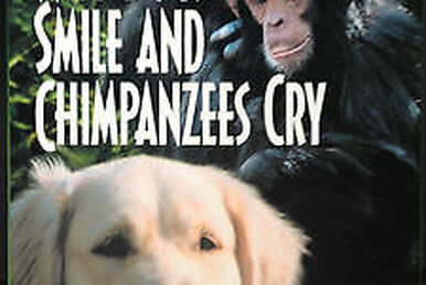その他 Why Dogs Smile and Chimpanzees Cry [DVD] Amazon.com: Why Dogs Smile and Chimpanzees Cry [DVD