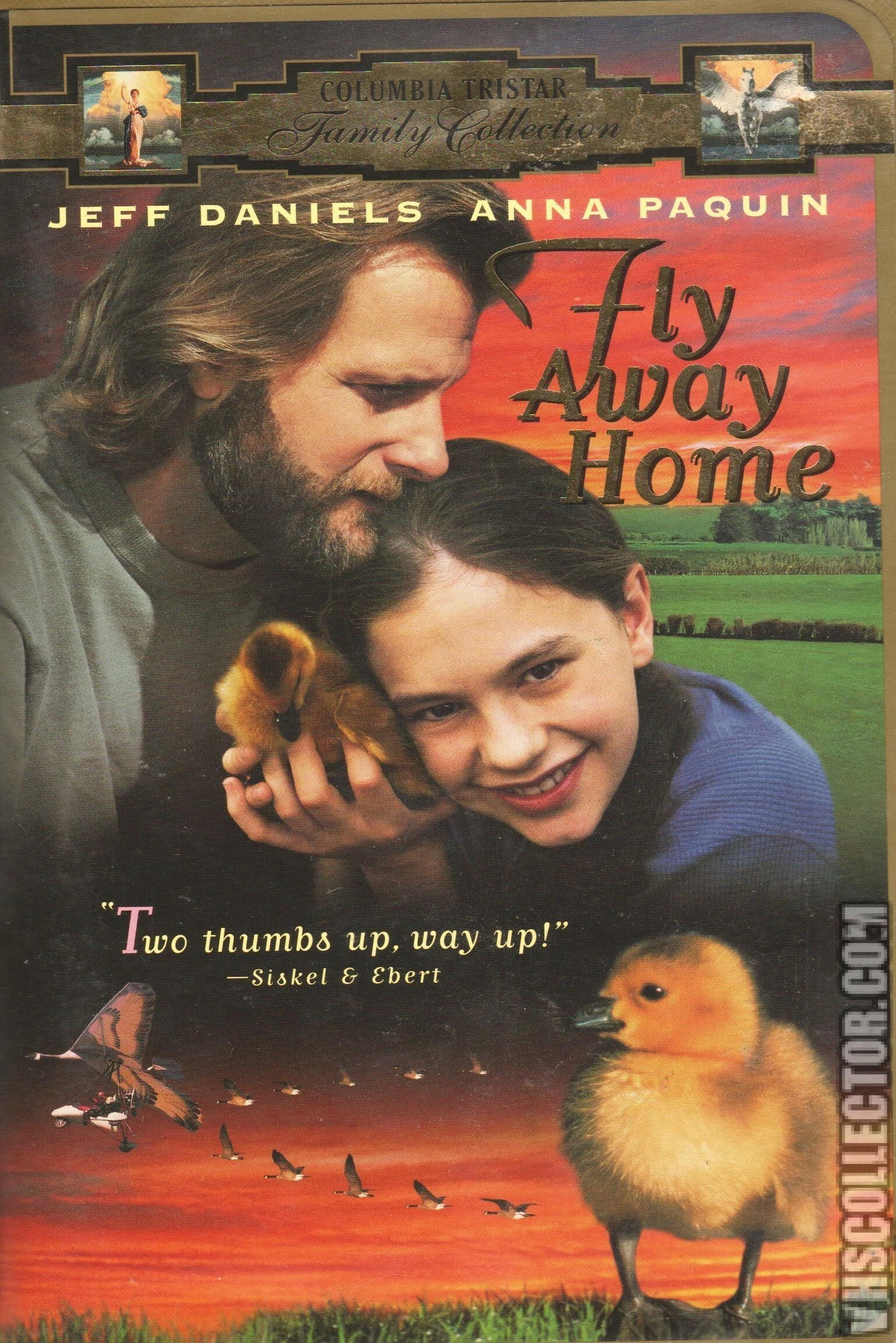Fly Away Home 1997 Vhs Angry Grandpa S Media Library Wiki Fandom
