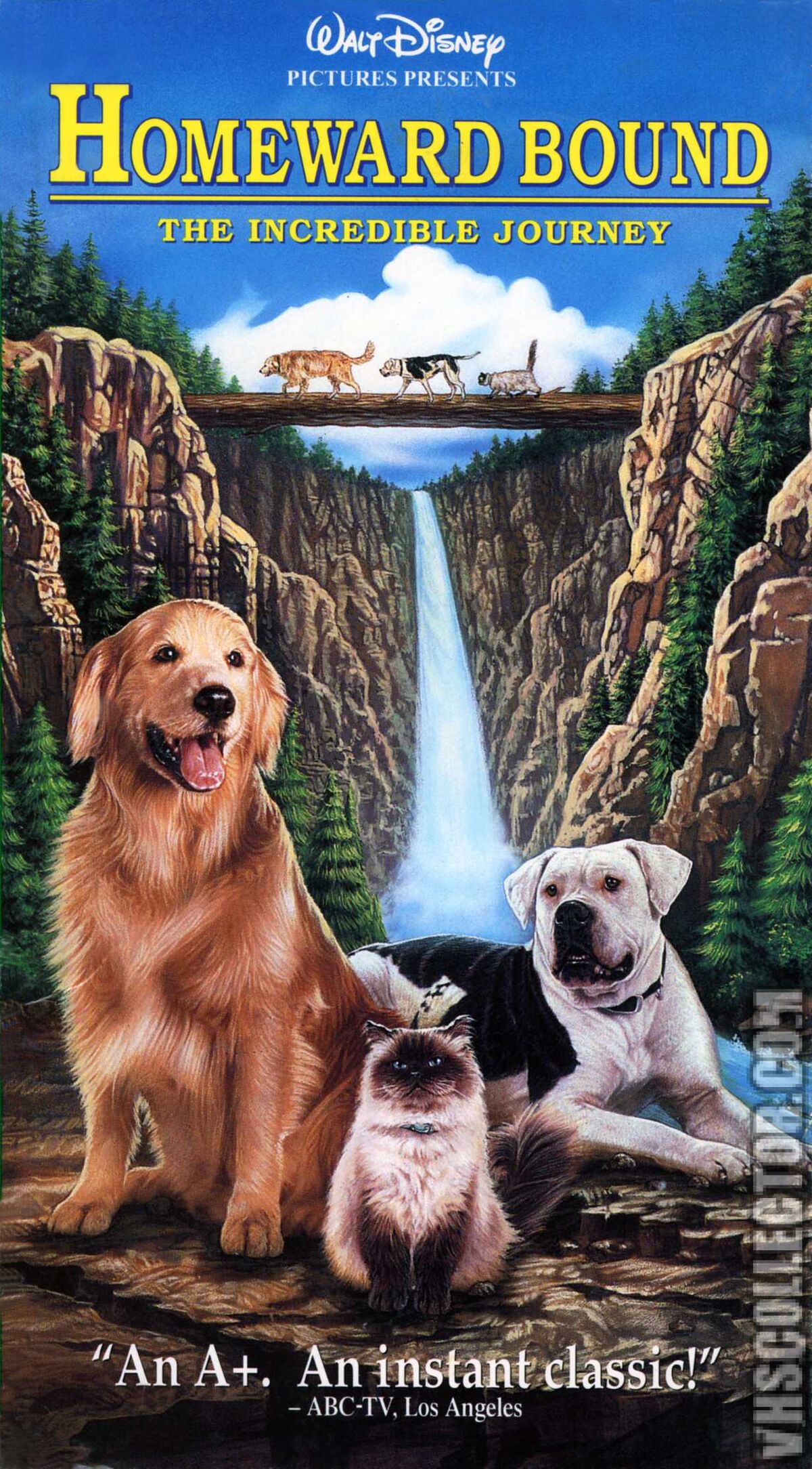 homeward-bound-1993-vhs-angry-grandpa-s-media-library-wiki-fandom
