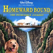 Homeward Bound 1993 Vhs Angry Grandpa S Media Library Wiki Fandom