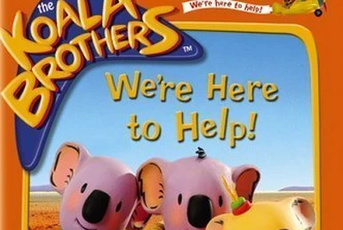 The Koala Brothers: Meet The Koala Brothers! (2005 DVD) | Angry