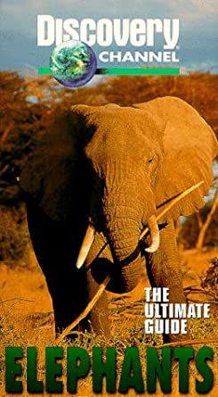 The Ultimate Guide: Elephants (1998-2003 VHS) Angry Grandpa's Media