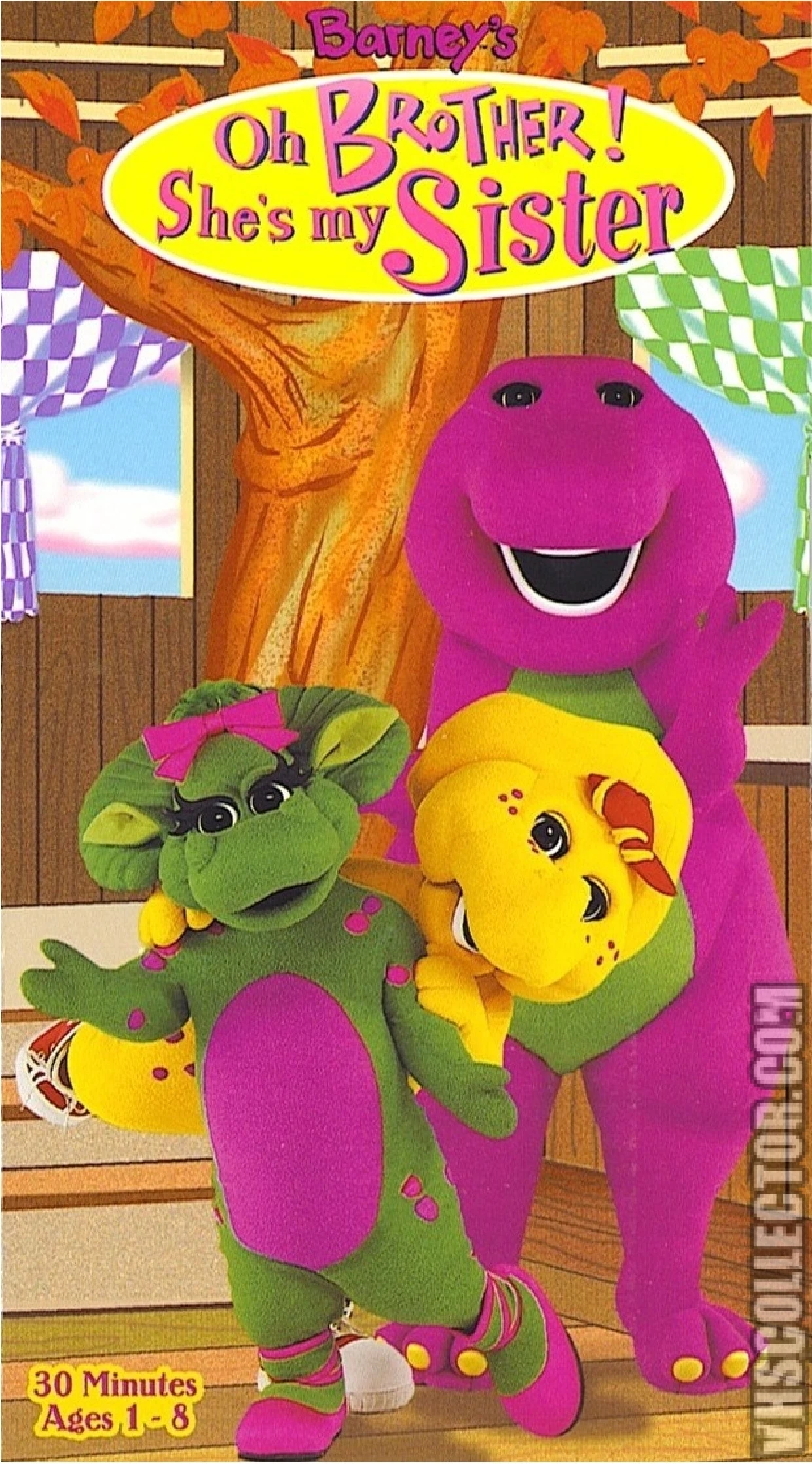 Barney Oh Brother! She's My Sister (1998 VHS) Angry